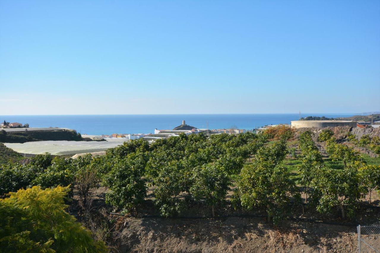 Pura Vida El Morche Apartment Torrox Exterior photo